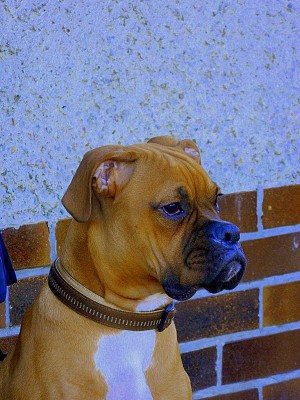 15.1.2012_417.jpg