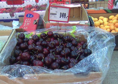 Obraz0419.jpg