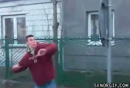 96339.gif