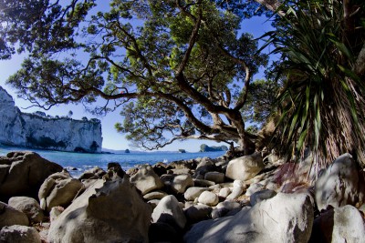 cesta ke Cathedral Cove