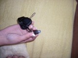 SDC14115.JPG