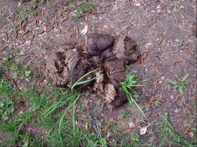 P1070072.JPG (169.52 KiB) Zobrazeno 813 x lejno