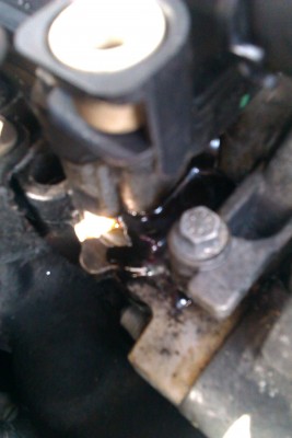 IMAG0122.jpg