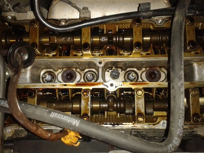 20141006_083314.jpg