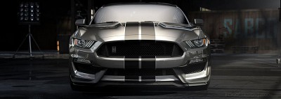 stang.jpg