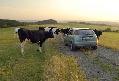 Obklopily mé auto!