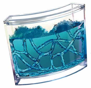 ked vas omrzi akvarko... :)))