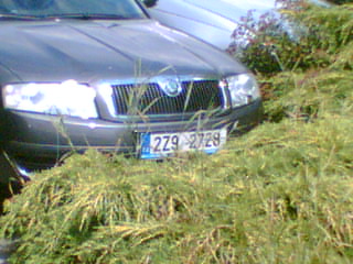 SPZ II.jpg