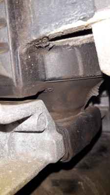 20160420_123915.jpg