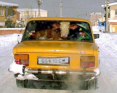 transport1.jpg