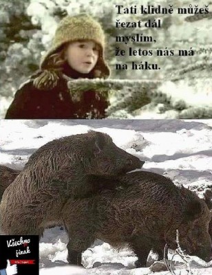 email.seznam.cz.jpg