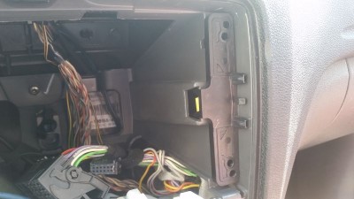 umístění pravé packy