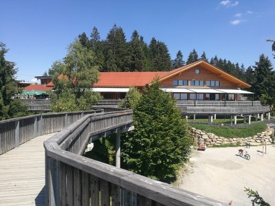 IMG_20180719_144828.jpg