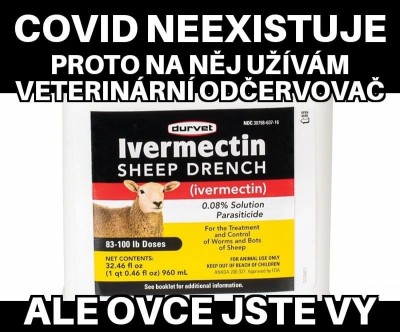 iver.jpg