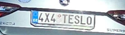 teslo.jpg