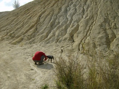 Clapci našli mrtvou myš a dělí si kořist