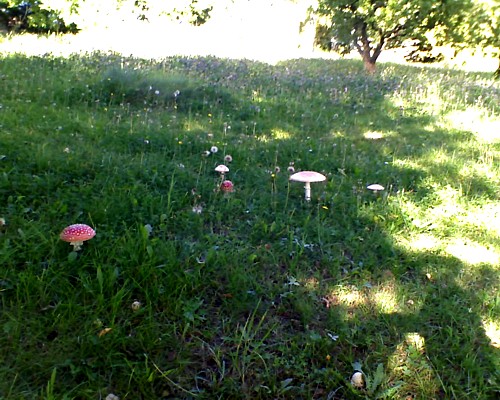 A tady něco, aby se prý party rozjela ještě víc... :D