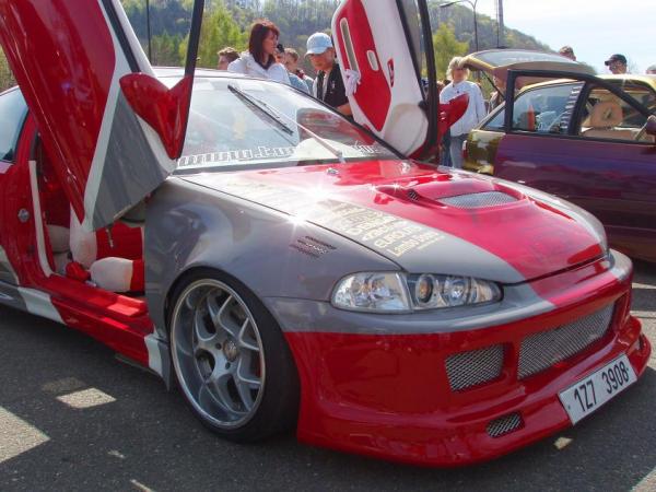 kopr6.JPG