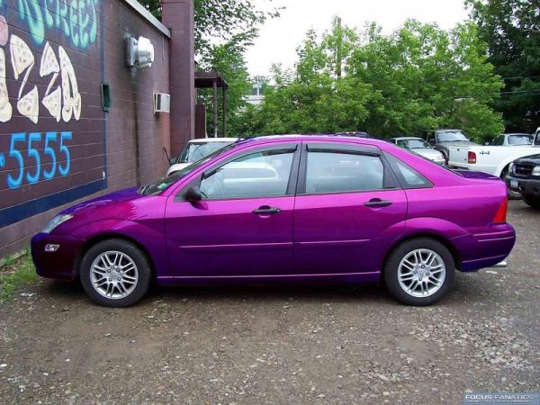 8827Car_Grape_web-med.jpg