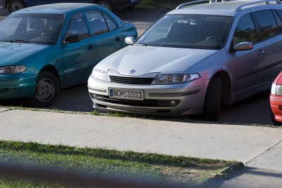 DSC_7798.jpg