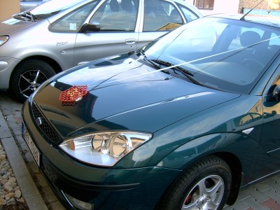SV300050.JPG
