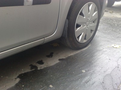 clio2.jpg