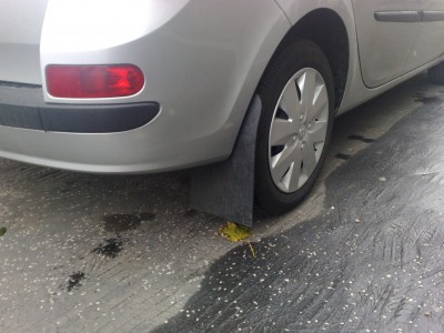 clio1.jpg