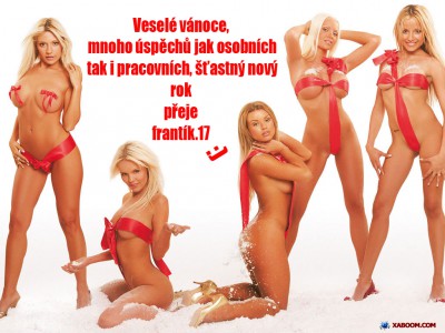 sexy-santa-girl-4-wallpaper kopie.jpg (51.26 KiB) Zobrazeno 5112 x ..to máme v obejváku, místo stromečku....