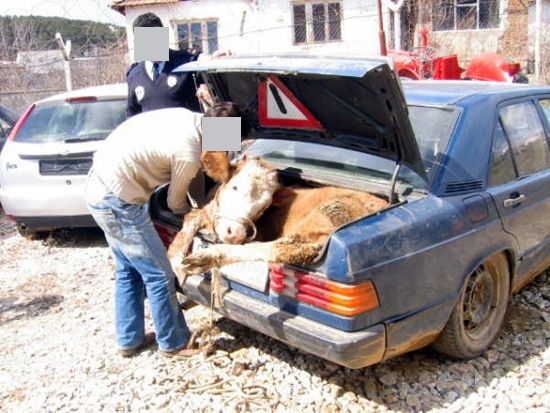 Transport_11.jpg