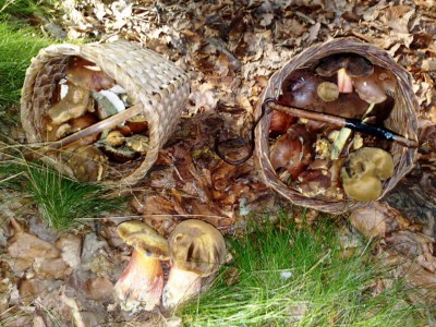 220820102466.jpg