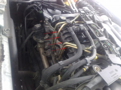 Pravdepodobne umisteni???