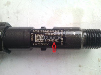 Vstřikovač Delphi.jpg